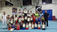 رقابت درون باشگاهی پسران ژیمناستیک کار مجموعه ورزشی کارگران برگزار شد