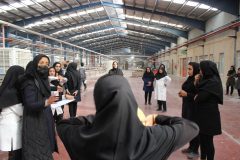 ادامه مسابقات المپیاد ورزش کارگری استان در شرکت های کسری پلیمر و کاشی ونوس میبد